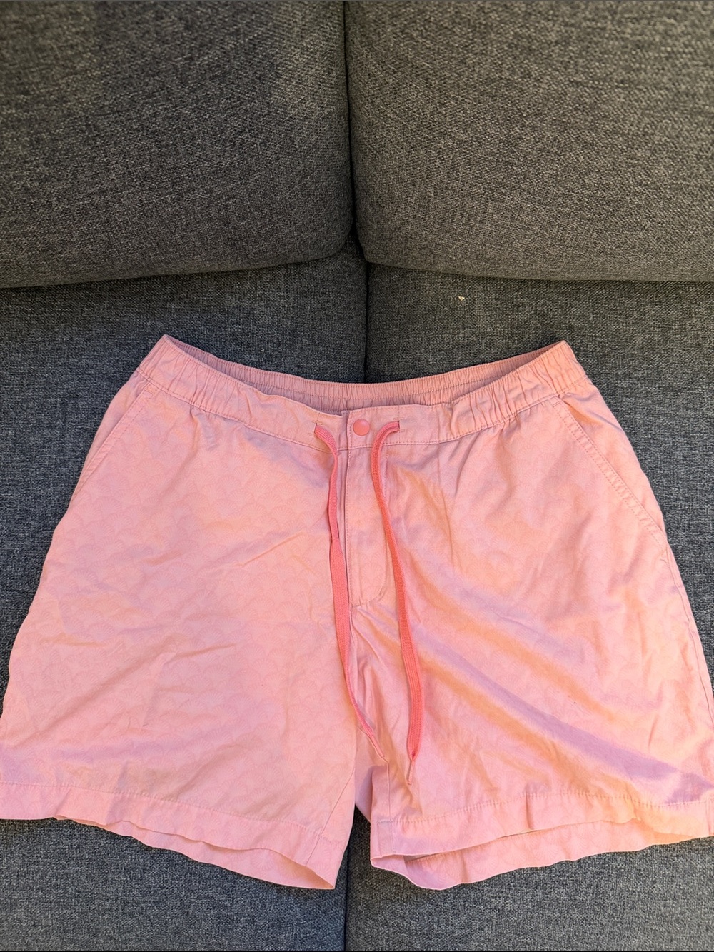 Chubbies The Salmon Runs 6" (Lined Everywear Trunk)
M